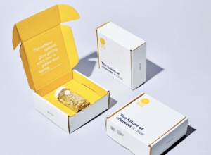 Newsletters 5