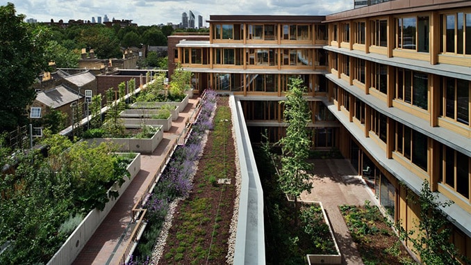 DICIEMBRE 2025 5 DICIEMBRE 2025 5